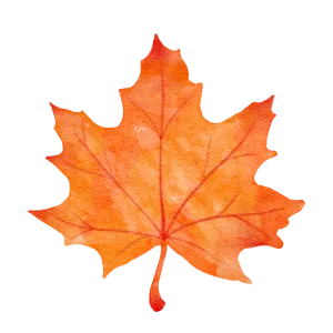 Watercolor of an orange maple leaf, fall season. HVAC system maintenance for autumn weather prep by | Accurate Air
