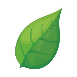 Cartoon green leaf illustration for Air Quality Testing and Improvement Services | Accurate Air